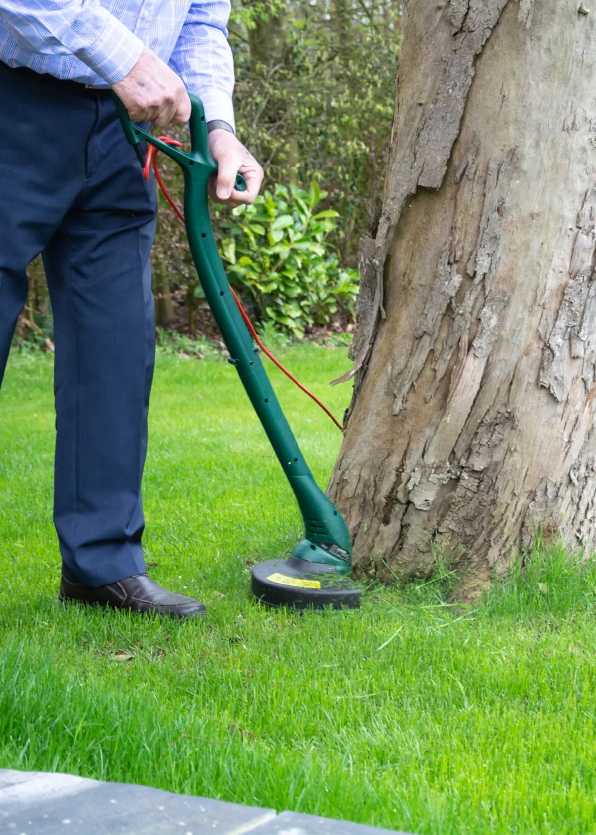 A photo of Webb Classic 23cm Linetrimmer - 250w