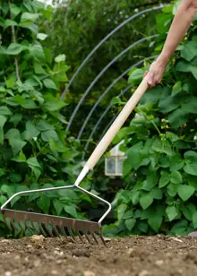 Kent & Stowe Stainless Steel Long Handled Soil Rake