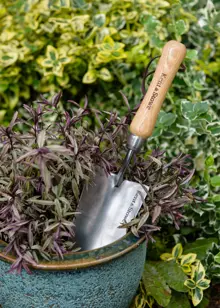 Kent & Stowe Stainless Steel Hand Trowel