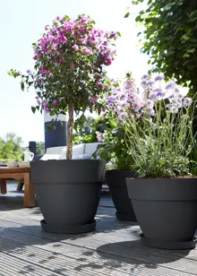 Elho Vibia Campana Pot 25cm Anthracite