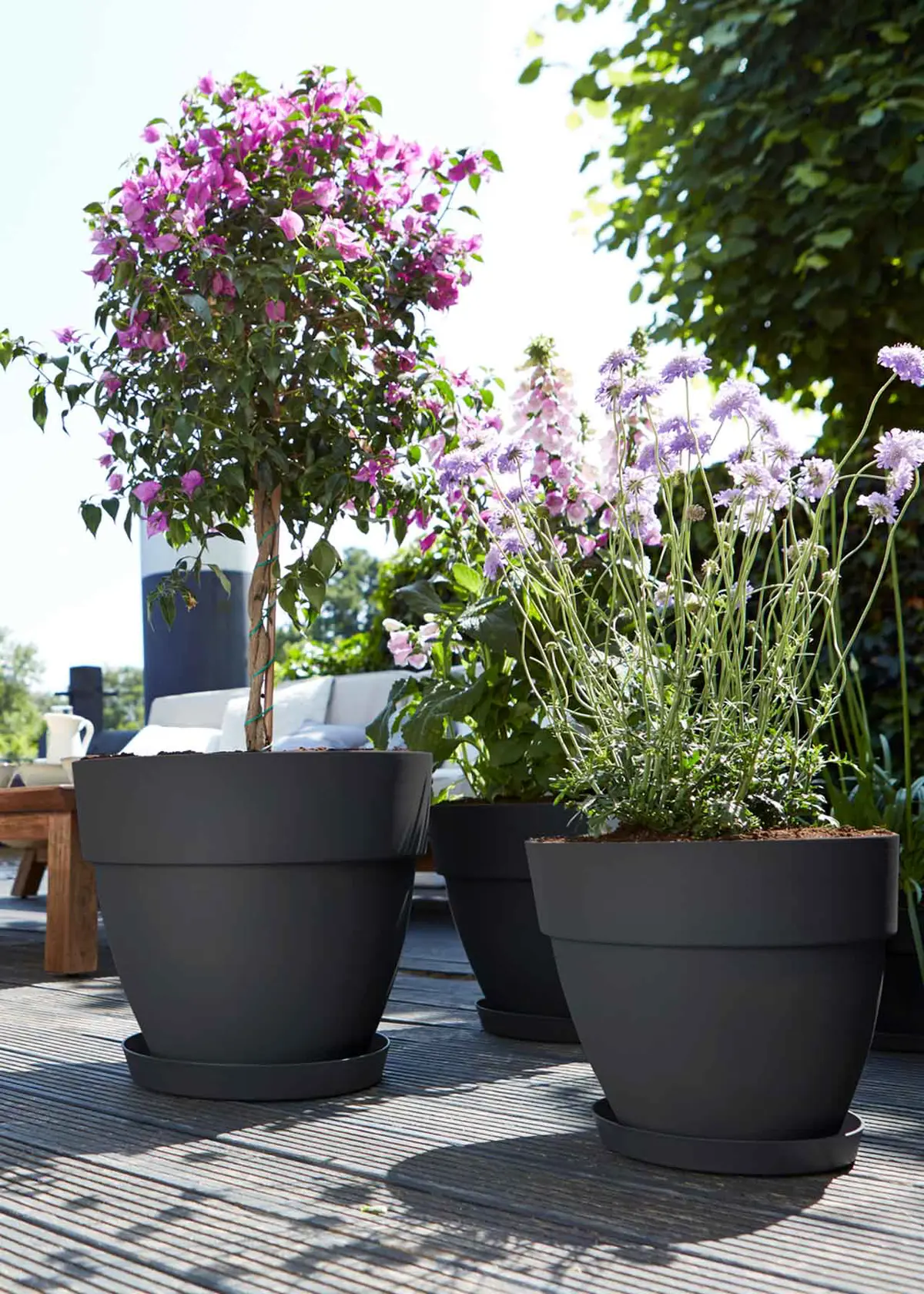 A photo of Elho Vibia Campana Pot 30cm Anthracite