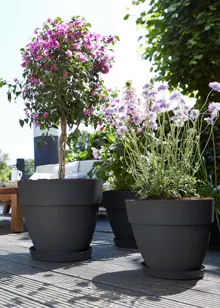 Elho Vibia Campana Pot 30cm Anthracite