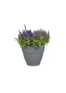 Elho Vibia Campana Pot 30cm Concrete
