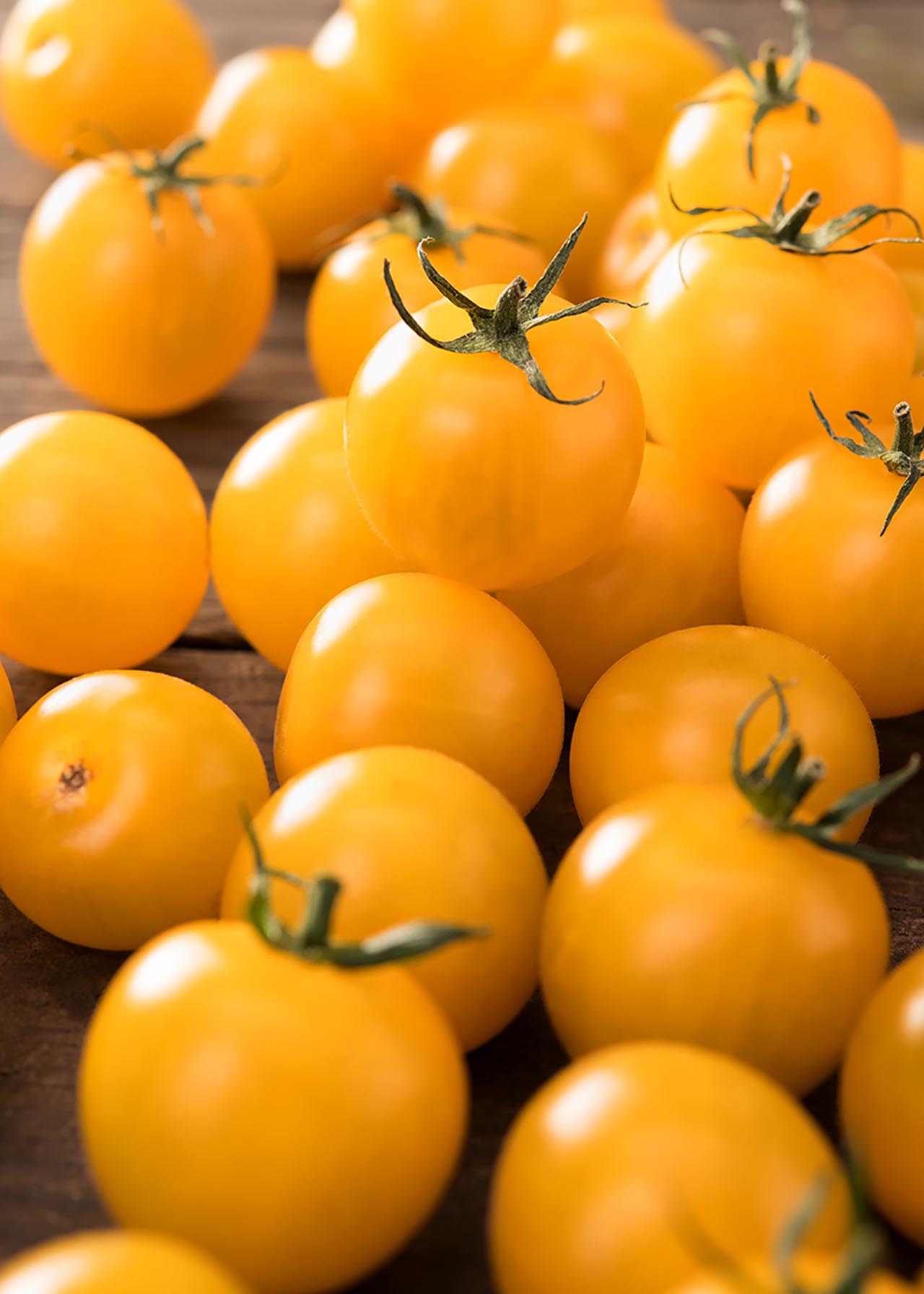 Tomato Goldwin 8.5cm