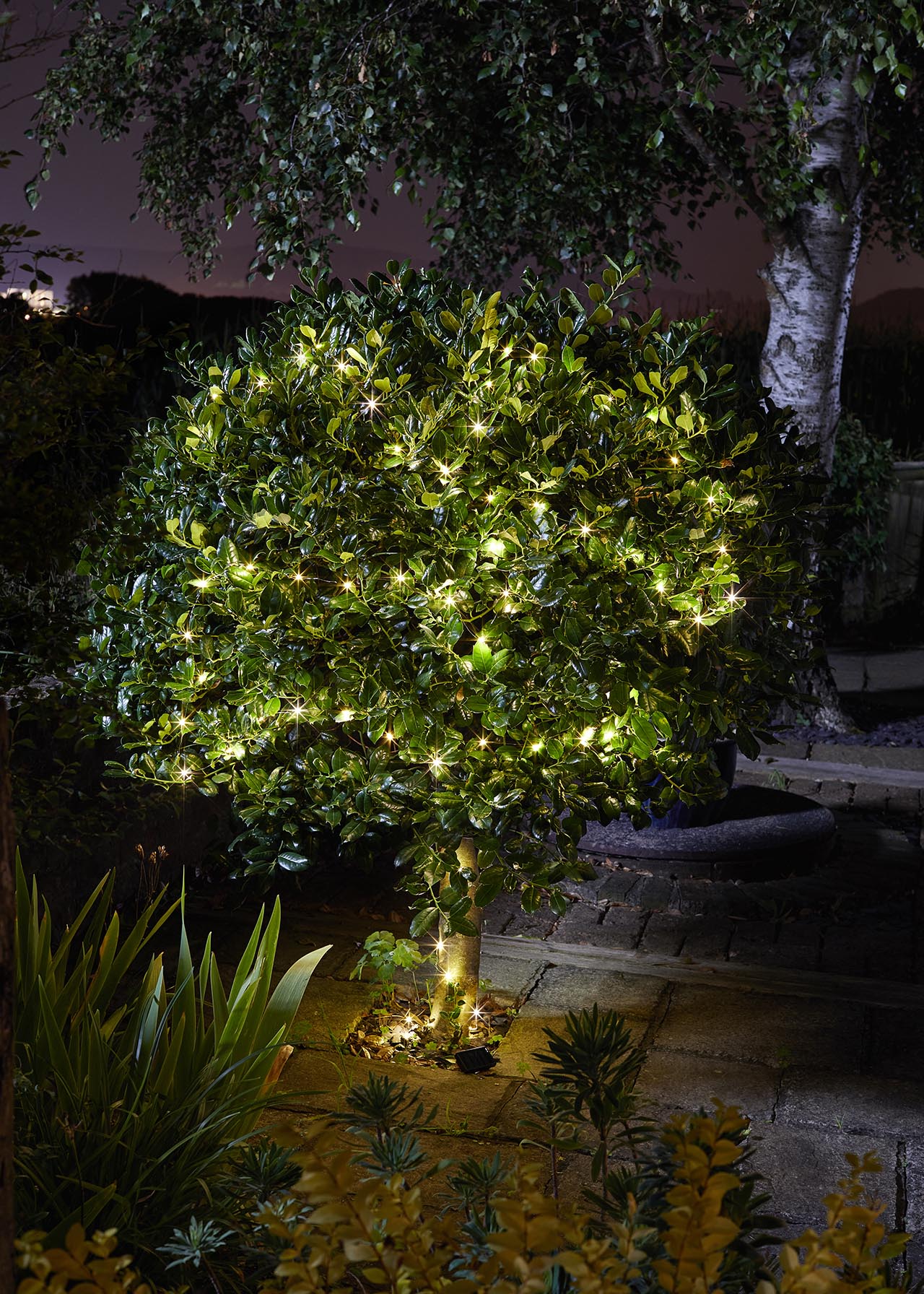 100 Warm White LED Firefly String Lights