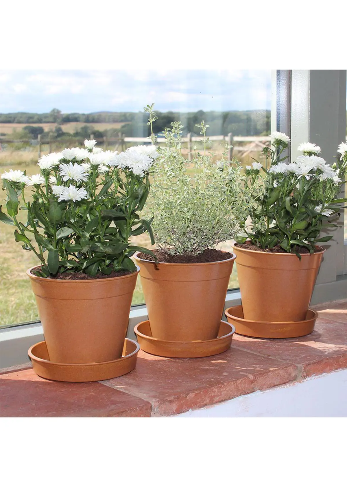 A photo of Haxnicks 15cm (6") Bamboo Pot 5 pack Terracotta