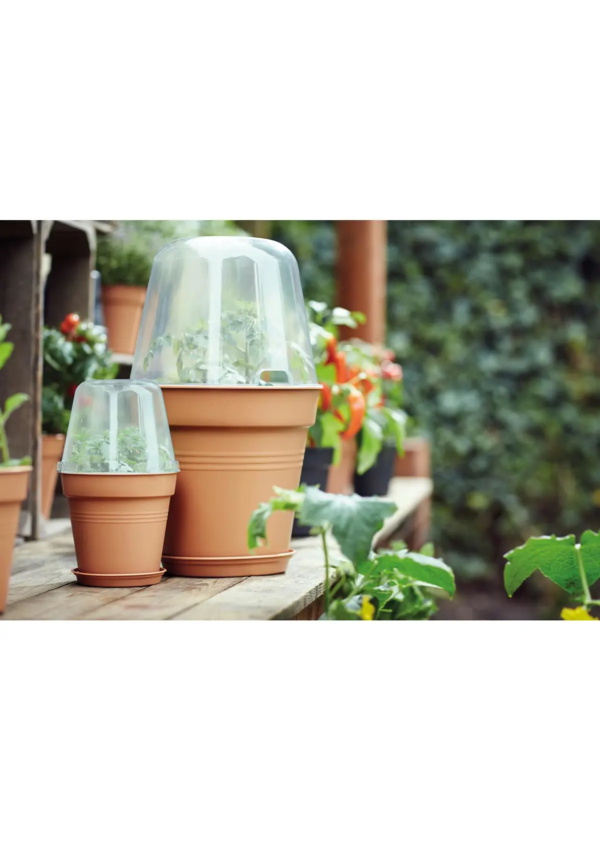 A photo of Elho Green Basics Growpot 17cm Terra