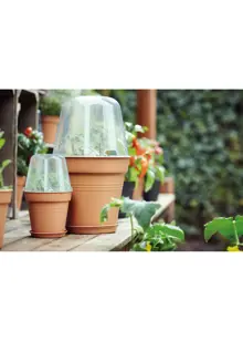 Elho Green Basics Growpot 17cm Terra