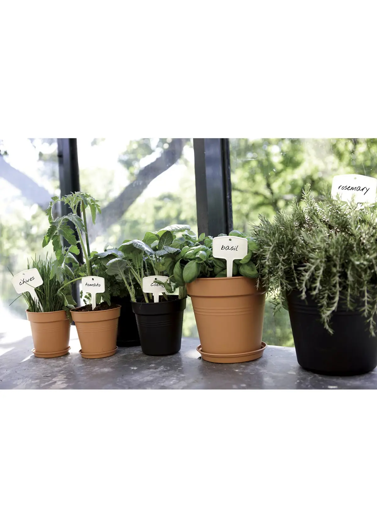 A photo of Elho Green Basics Growpot 17cm Terra