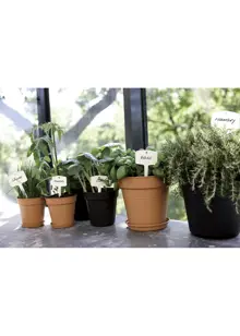 Elho Green Basics Growpot 17cm Terra