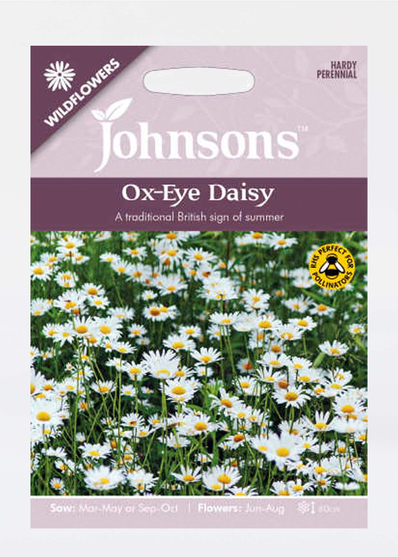 Ox-Eye Daisy Seeds