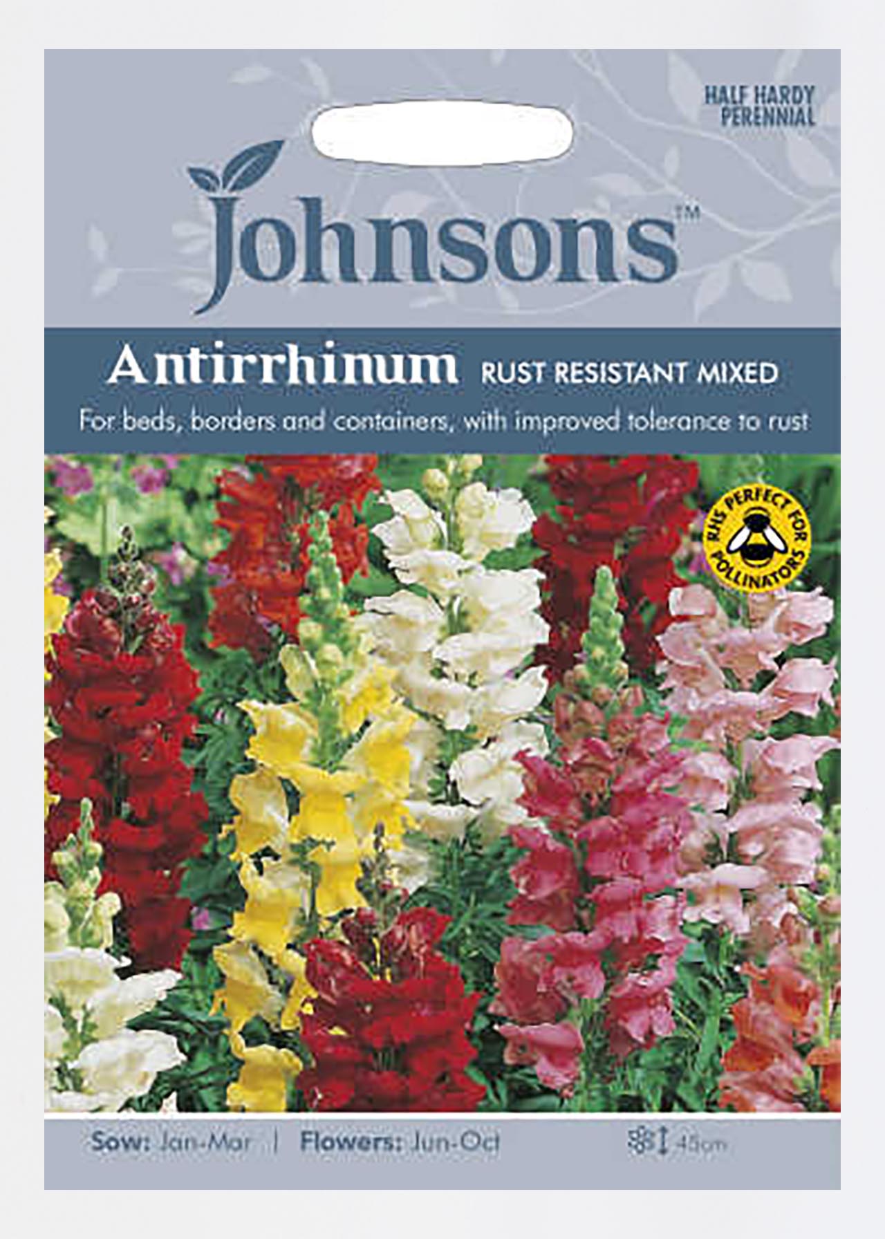 Antirrhinum Rust Resistant Mixed Seeds