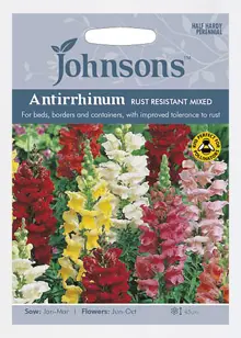 Antirrhinum Rust Resistant Mixed Seeds