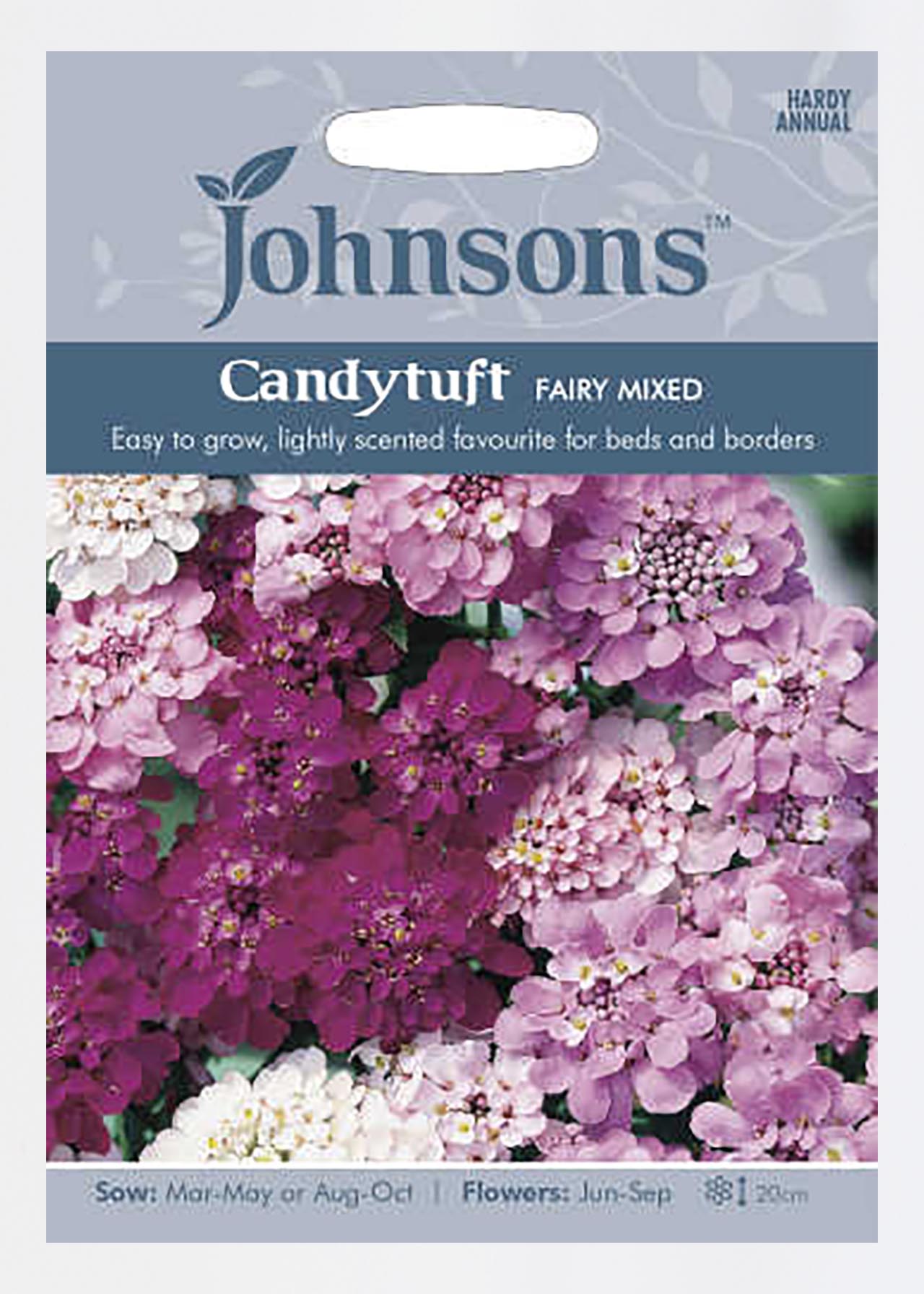 Candytuft Fairy Mixed Seeds