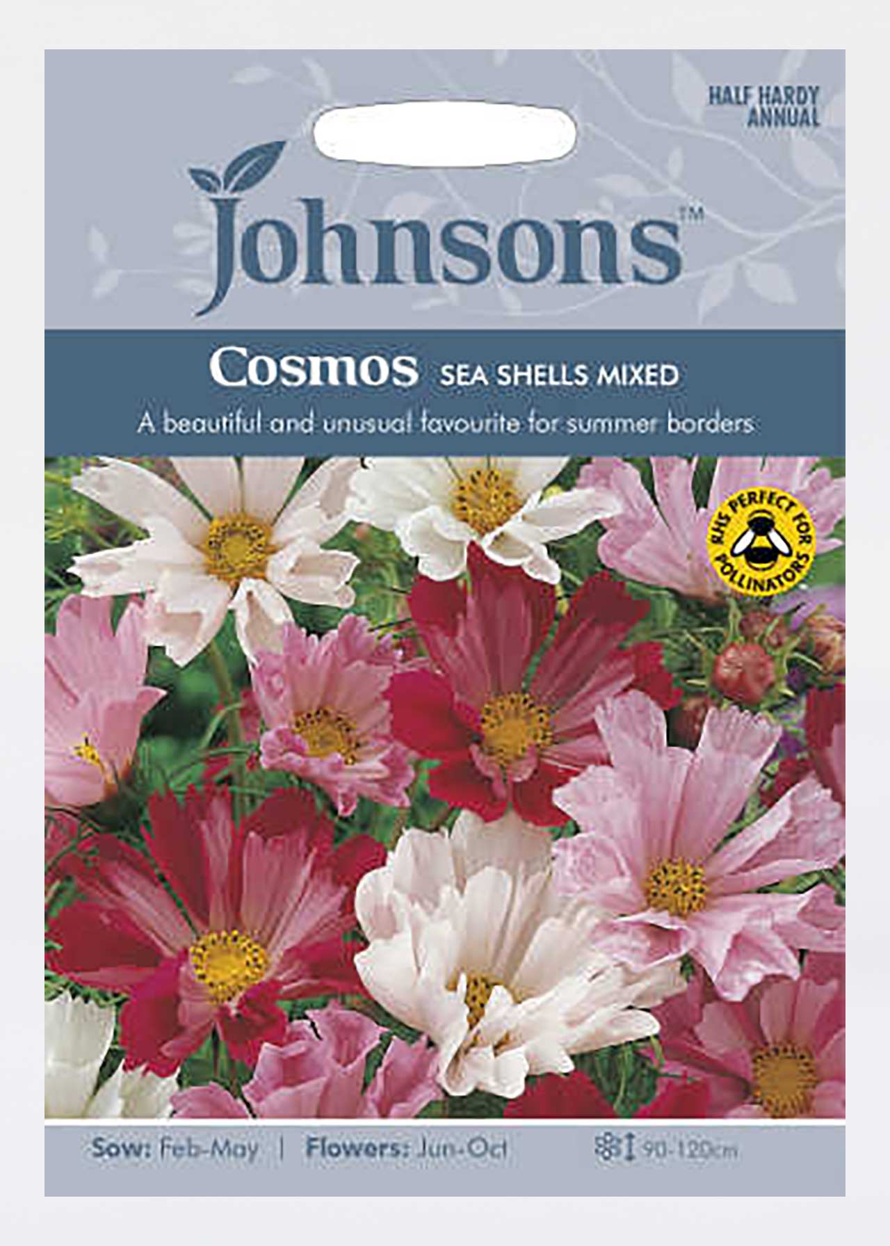 Cosmos Sea Shells Mixed Seeds