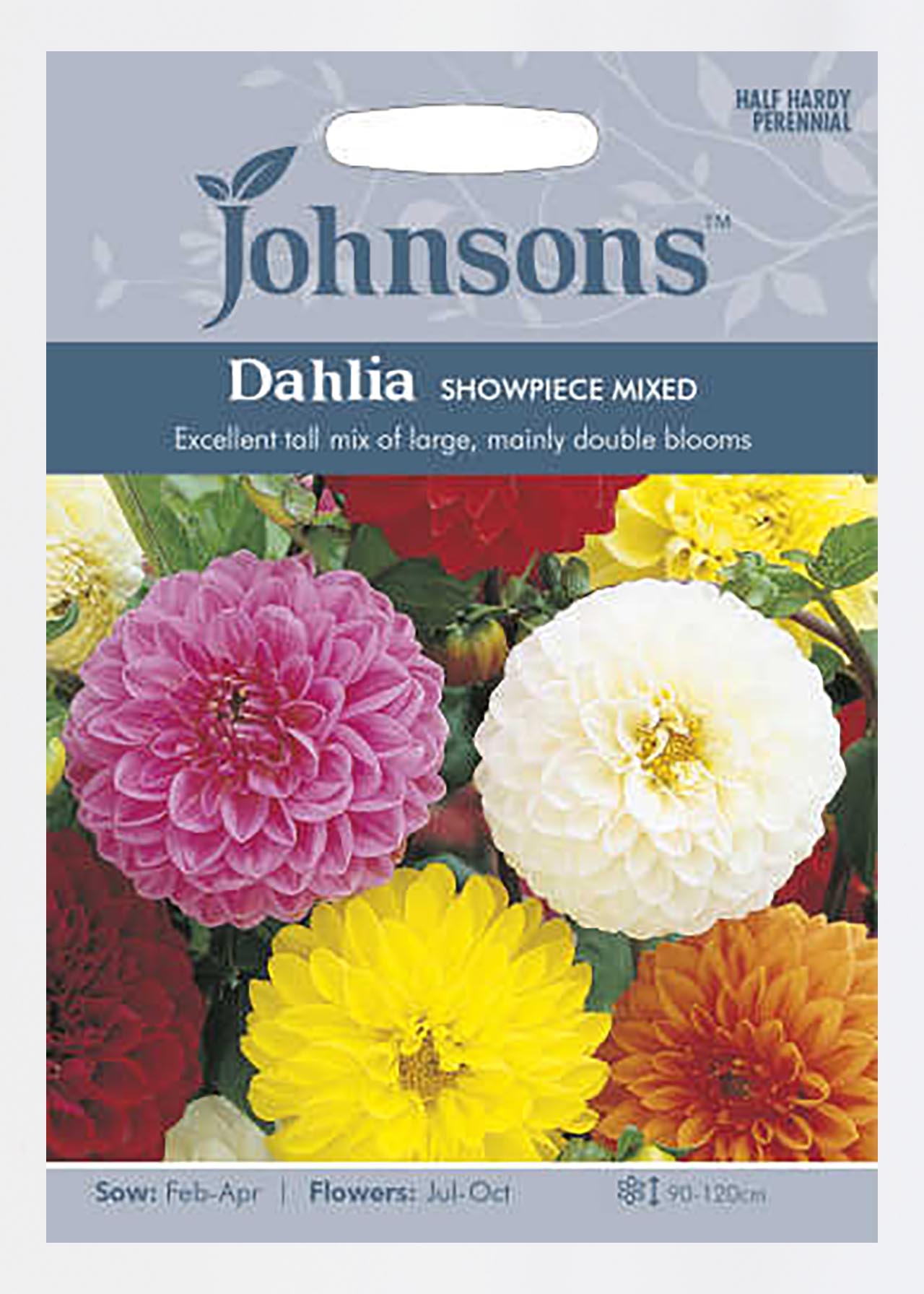 Dahlia Showpiece Mixed Seeds
