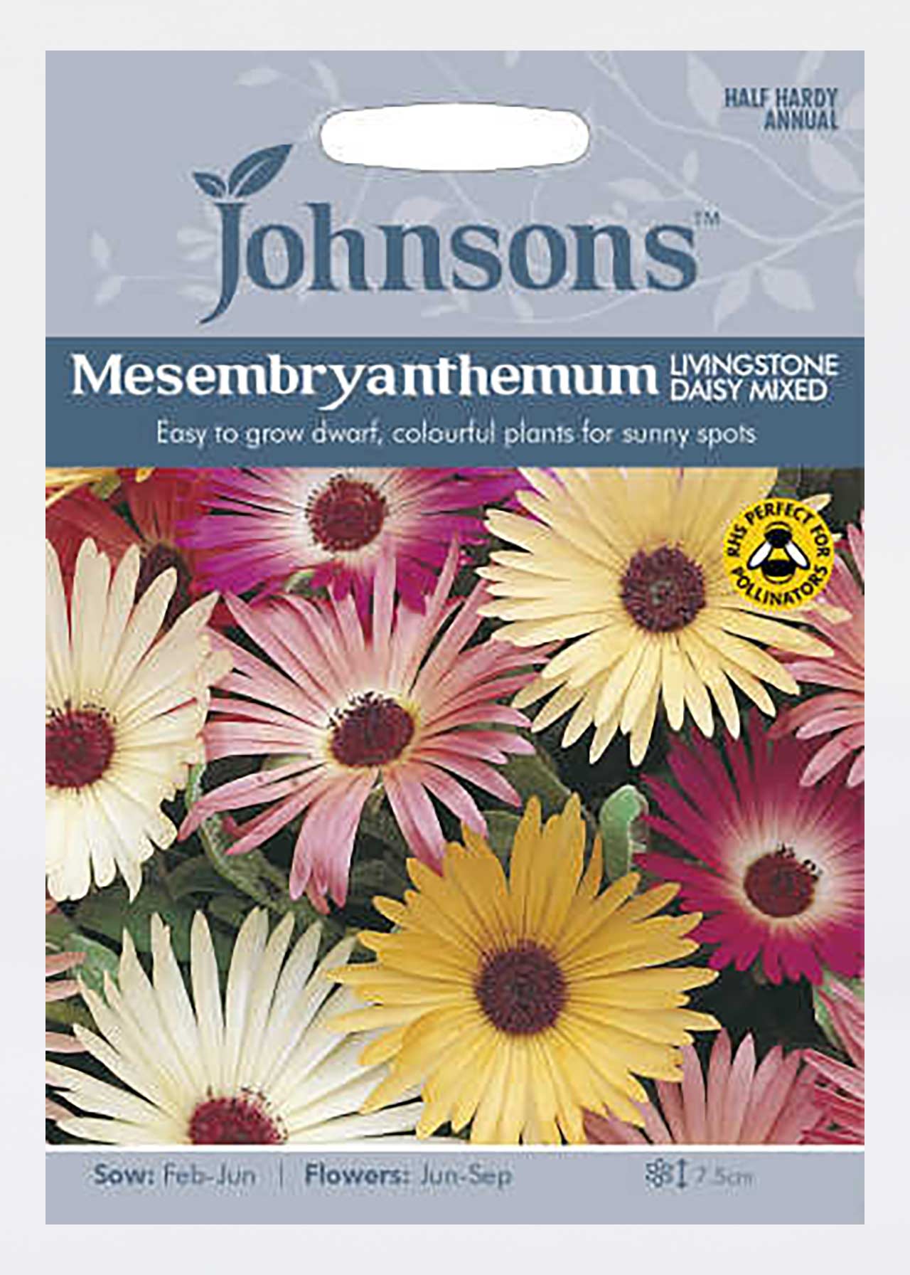 Mesembryanthemum Livingstone Daisy Mixed Seeds