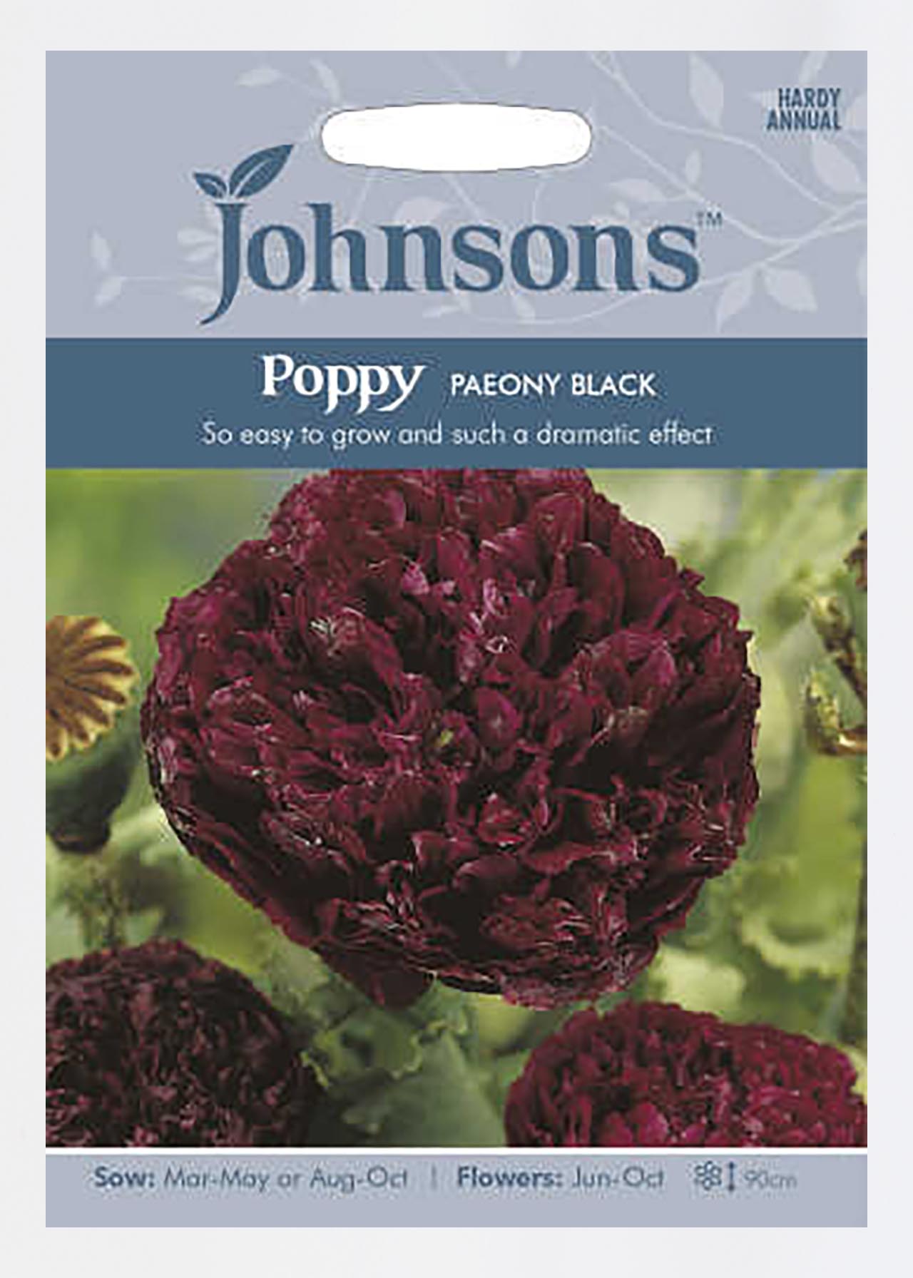 Poppy Paeony Black Seeds