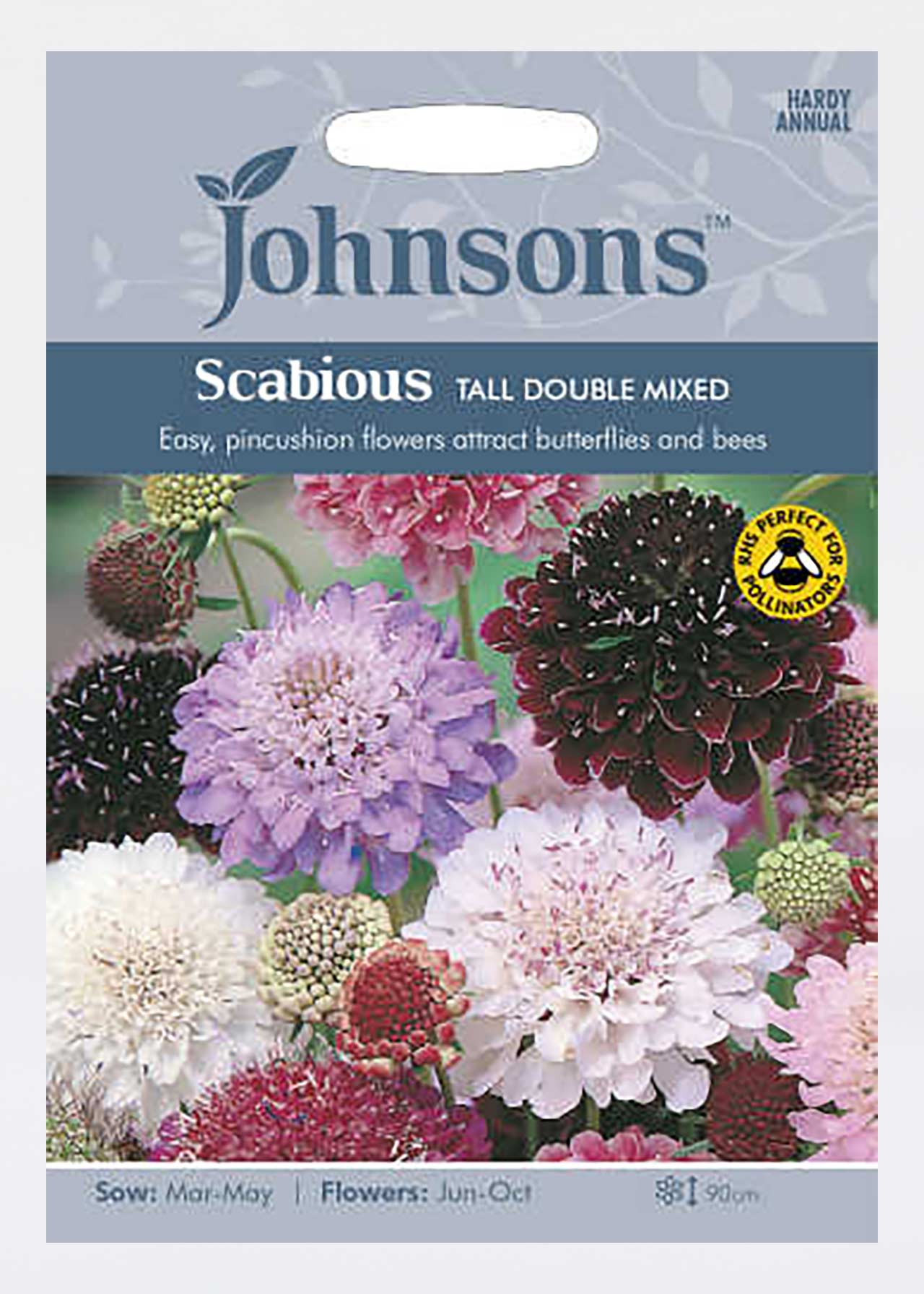 Scabious Tall Double Seeds