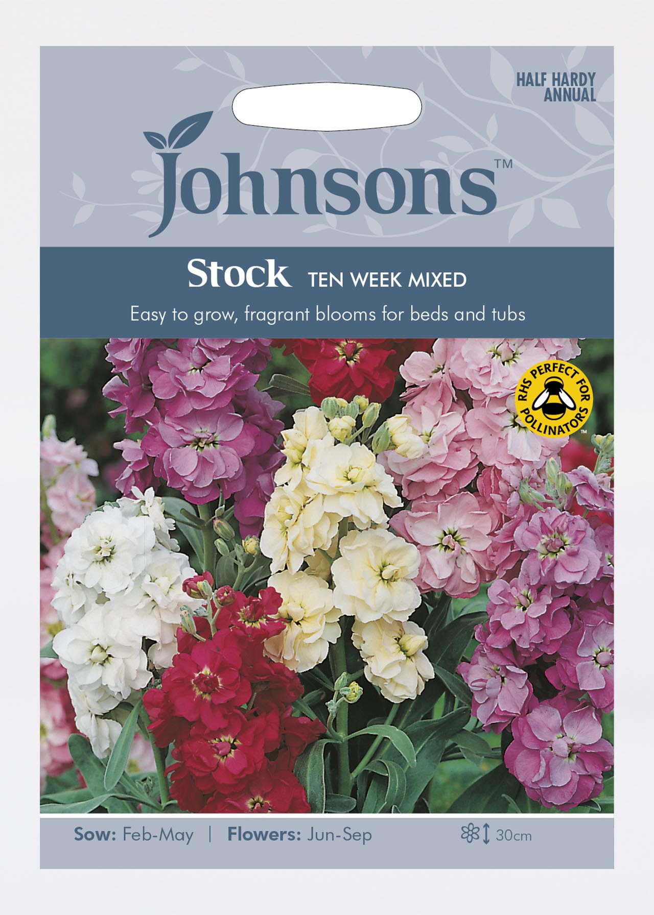 Stock Ten Week Mixed Seeds