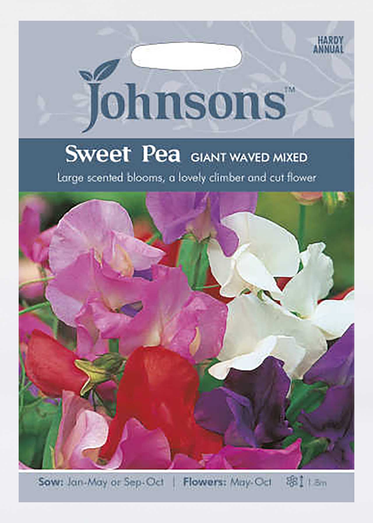 Sweet Pea Giant Waved Mixed Seeds