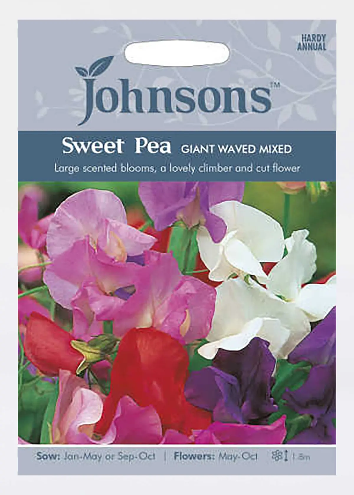 A photo of Sweet Pea Giant Waved Mixed Seeds