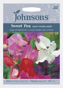 Sweet Pea Giant Waved Mixed Seeds