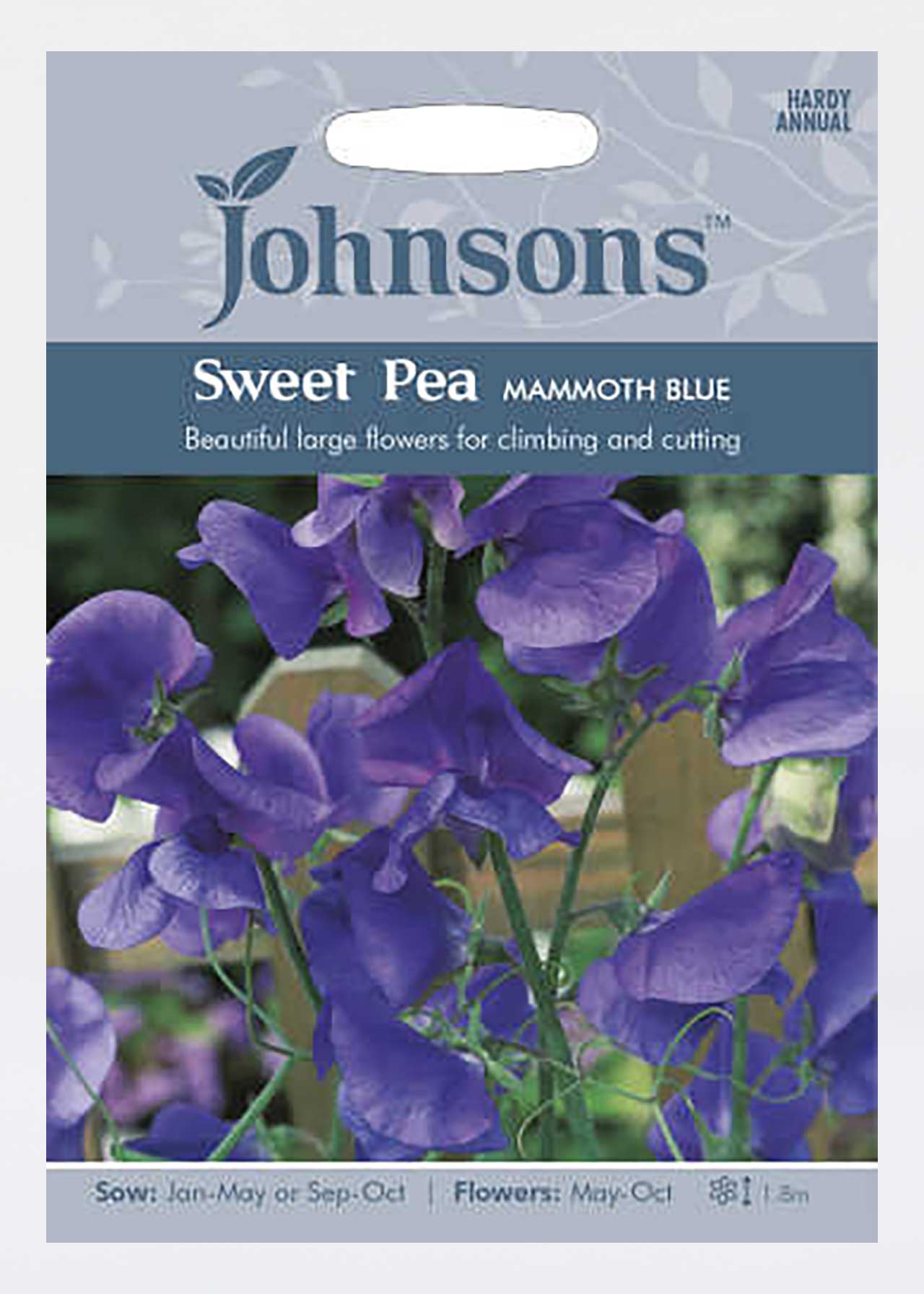 Sweet Pea Mammoth Blue Seeds