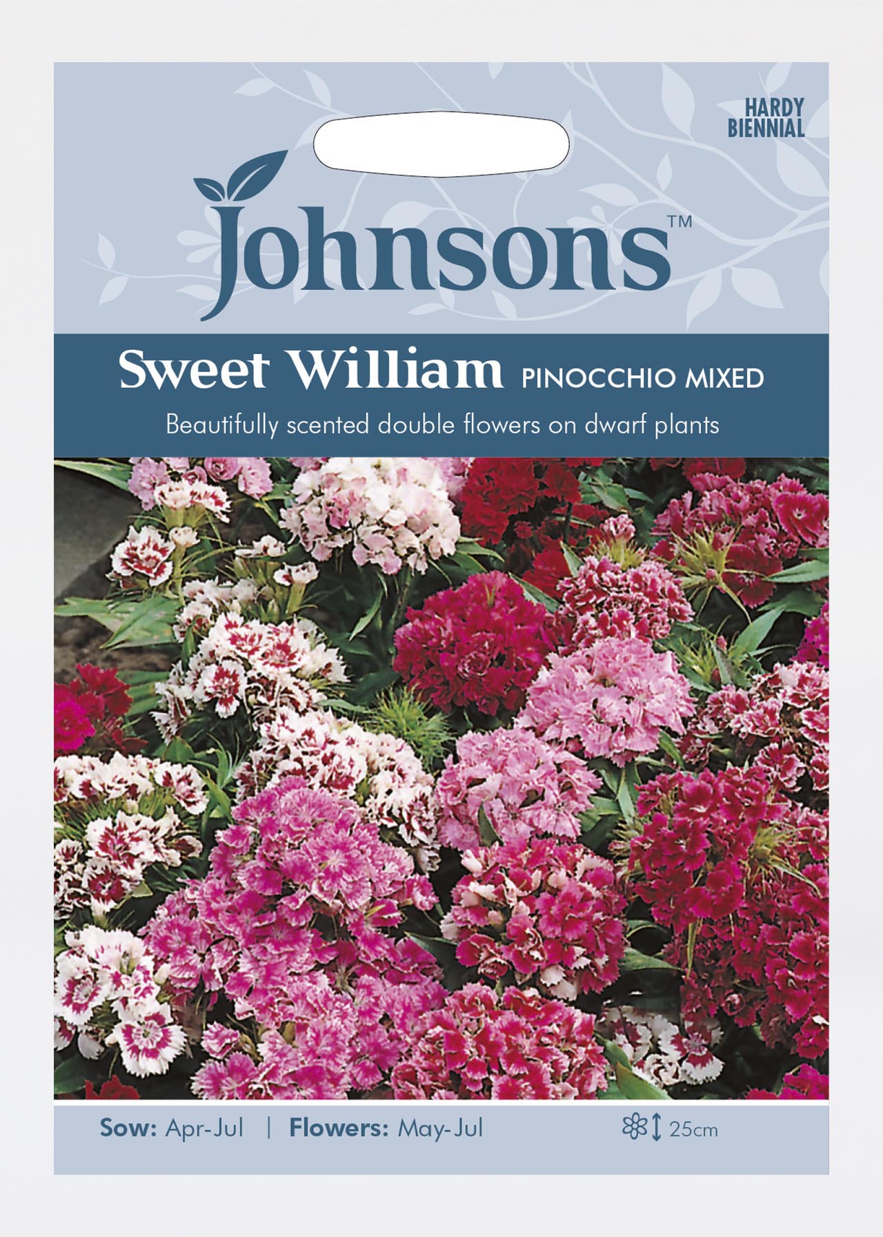 Sweet William Pinocchio Mixed Seeds