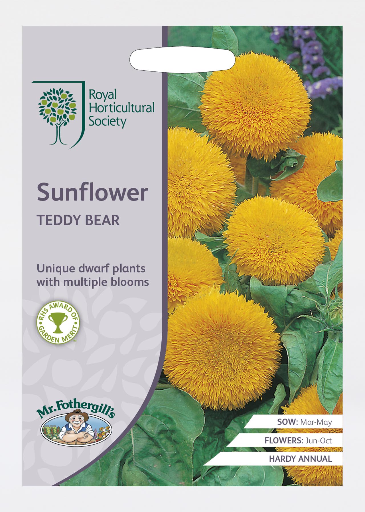 RHS Sunflower Teddy Bear Seeds