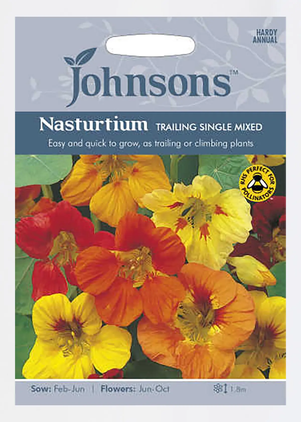 A photo of Nasturtium Trailing Single Mixed Seeds