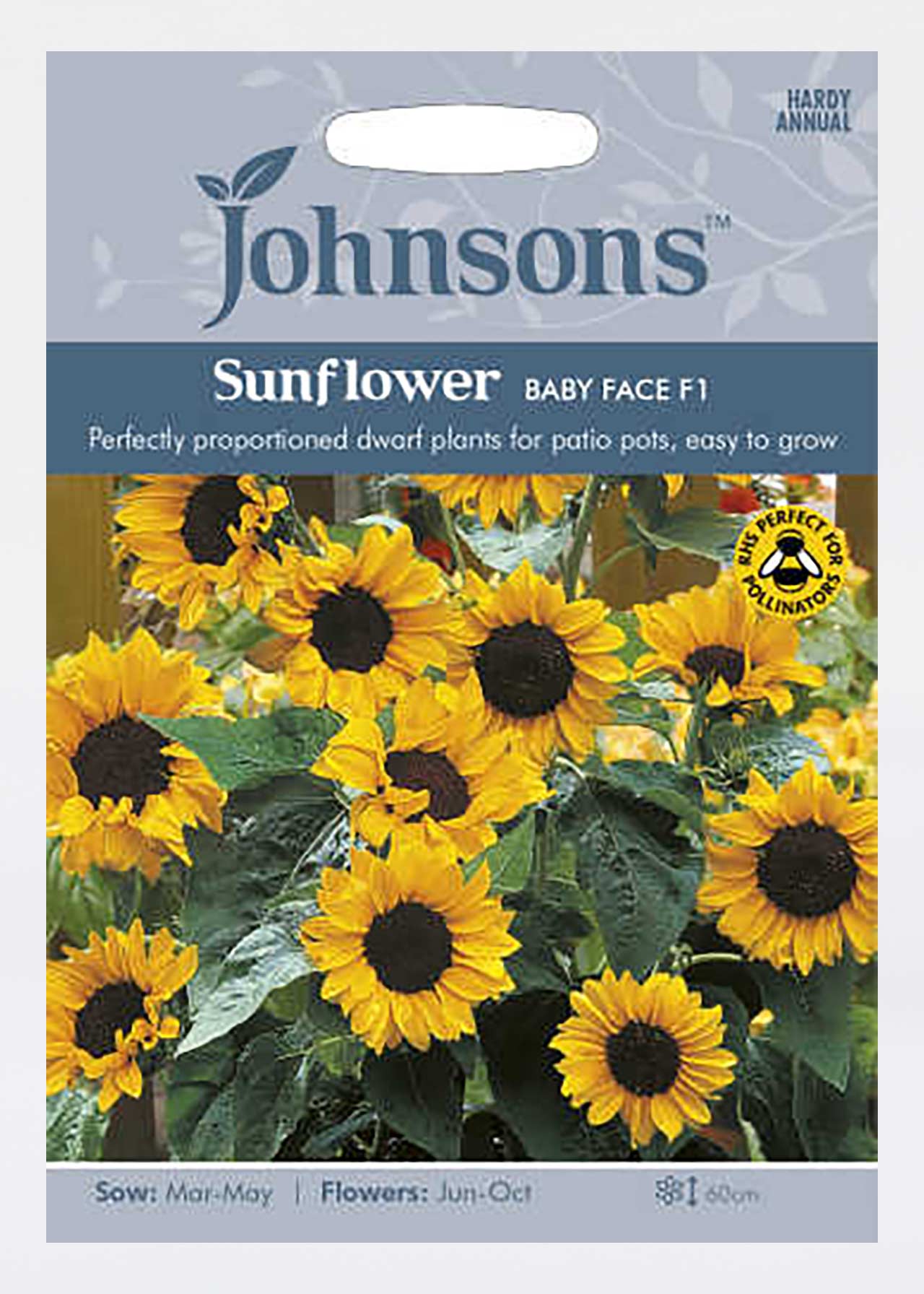 Sunflower Baby Face F1 Seeds