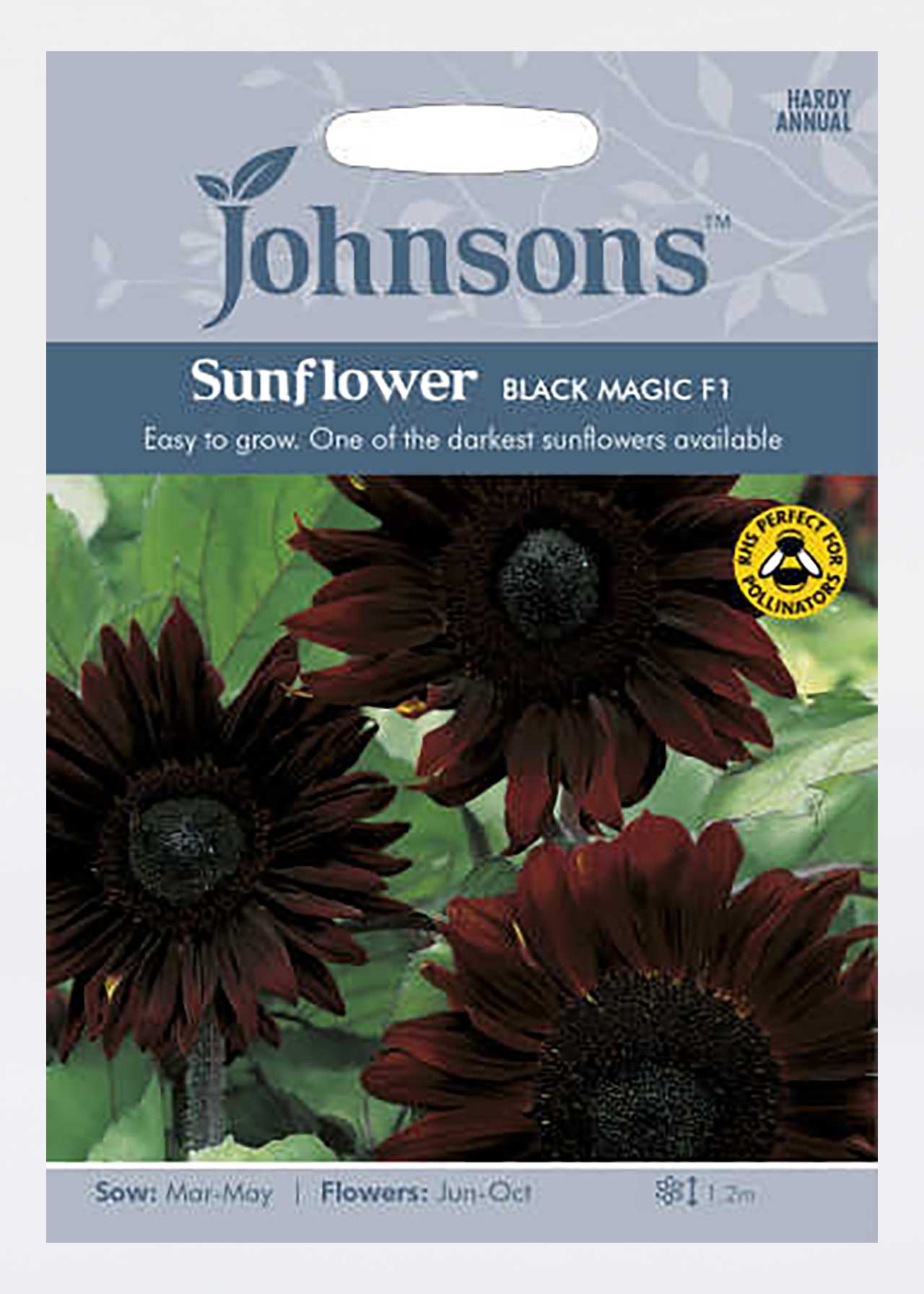 Sunflower Black Magic F1 Seeds