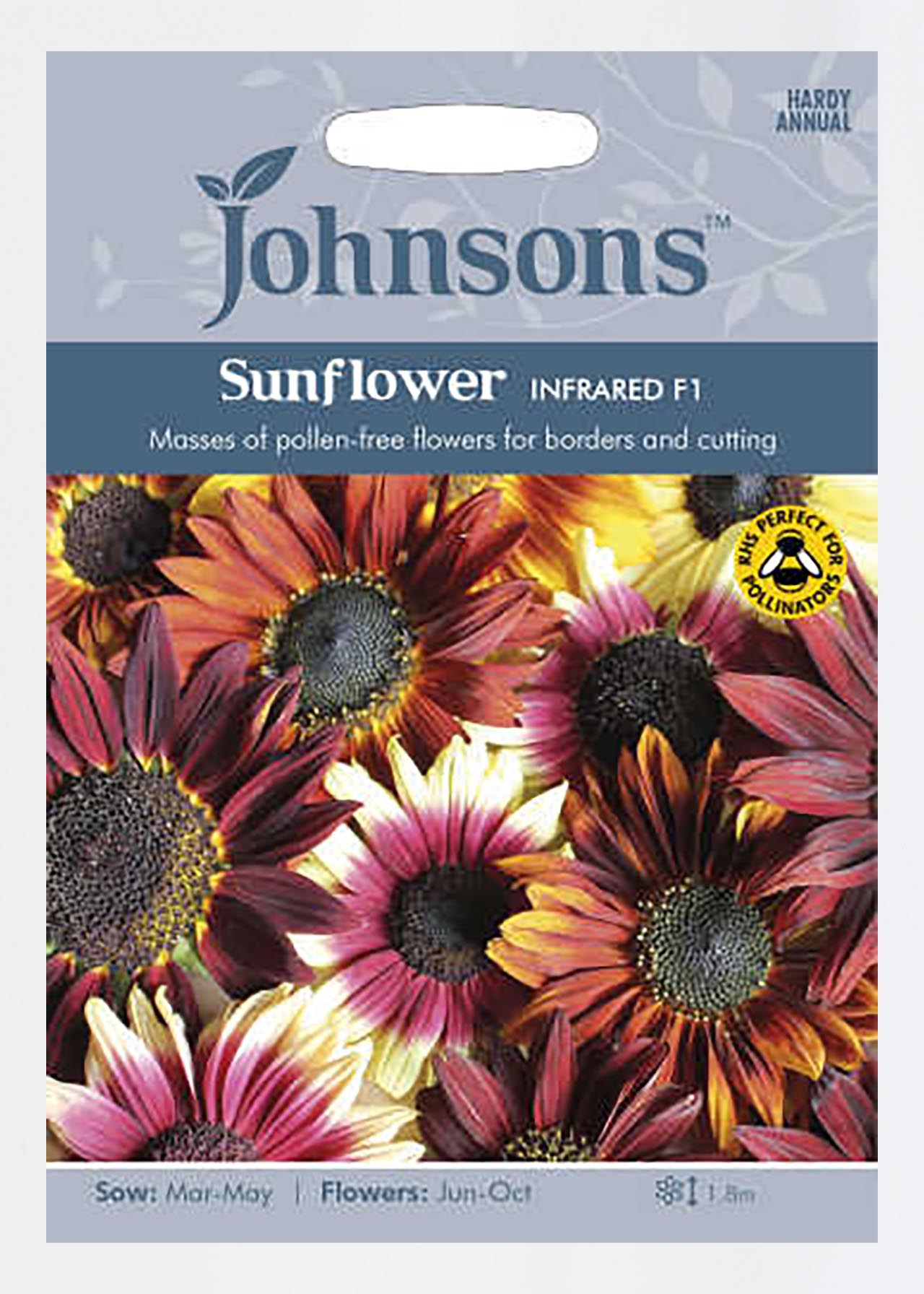 Sunflower Infrared F1 Seeds