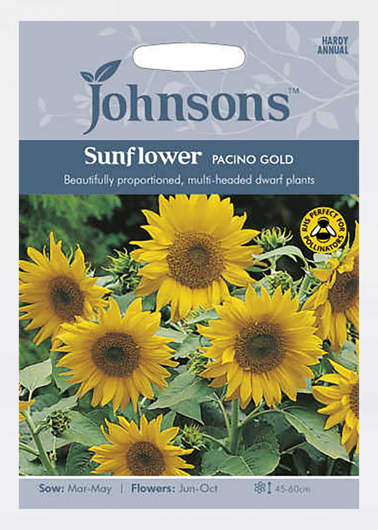 Sunflower Pacino Gold Seeds
