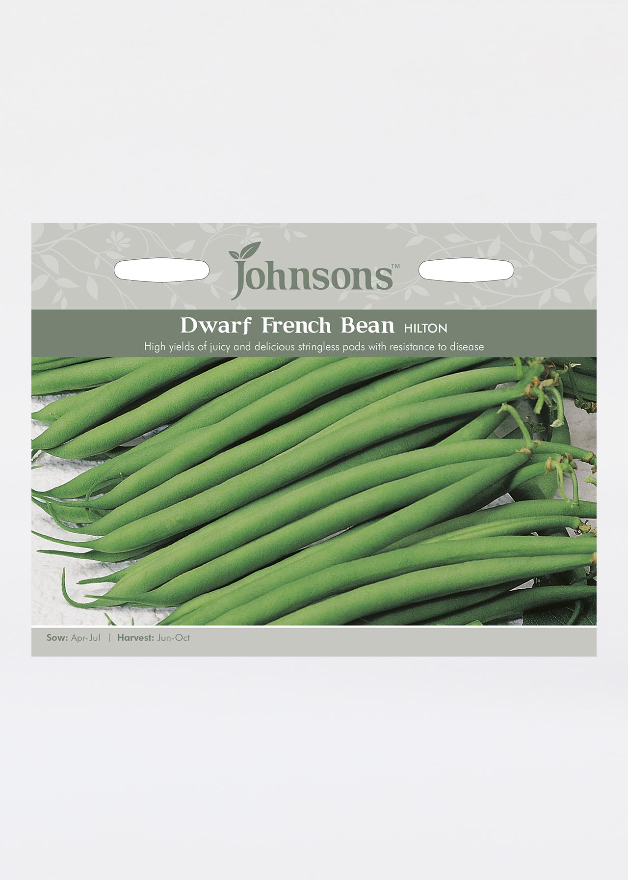 Dwarf French Bean Hilton Seeds