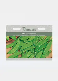 Pea (Mangetout) Norli Seeds
