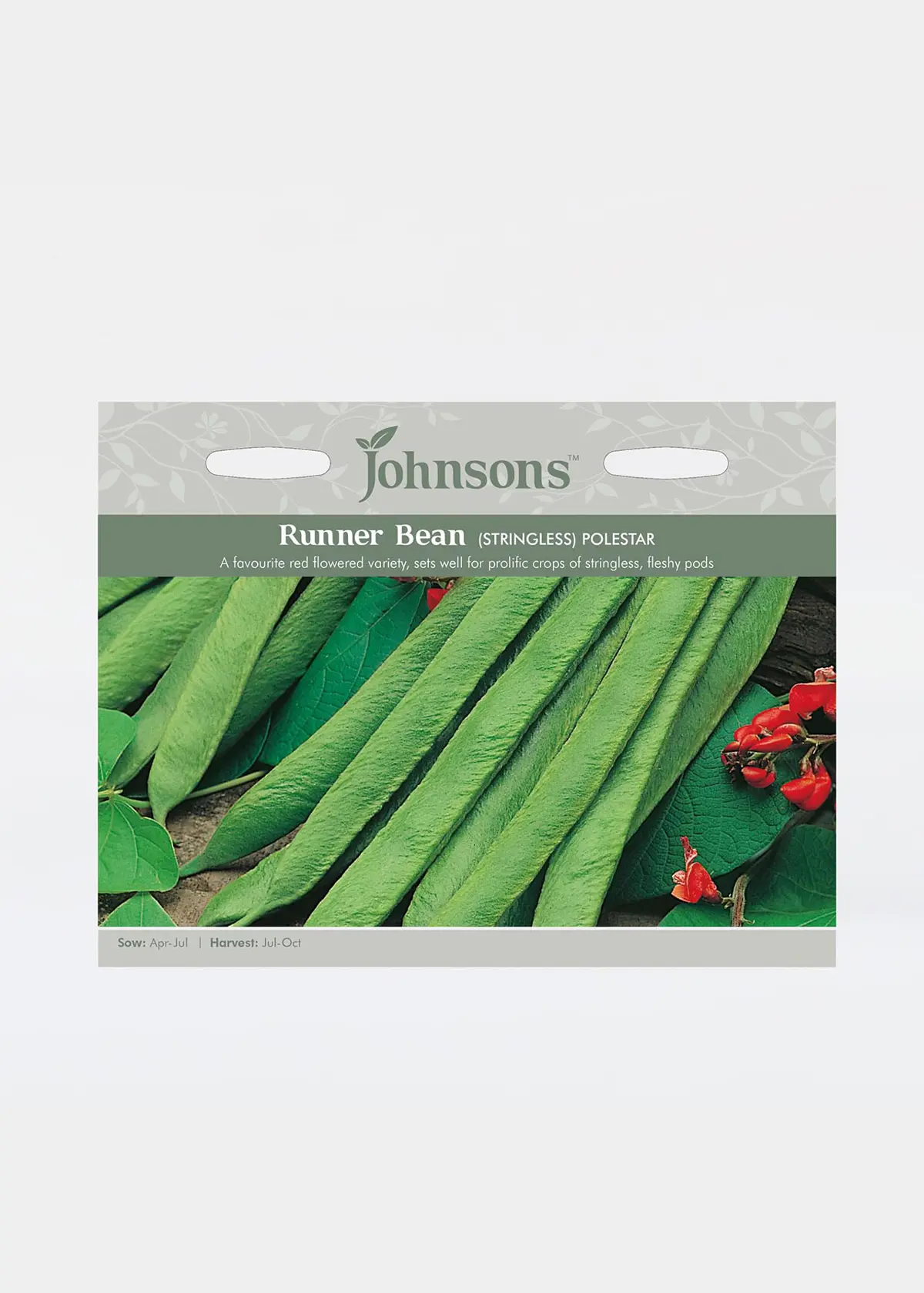 A photo of Runner Bean Polestar (Stringless) Seeds