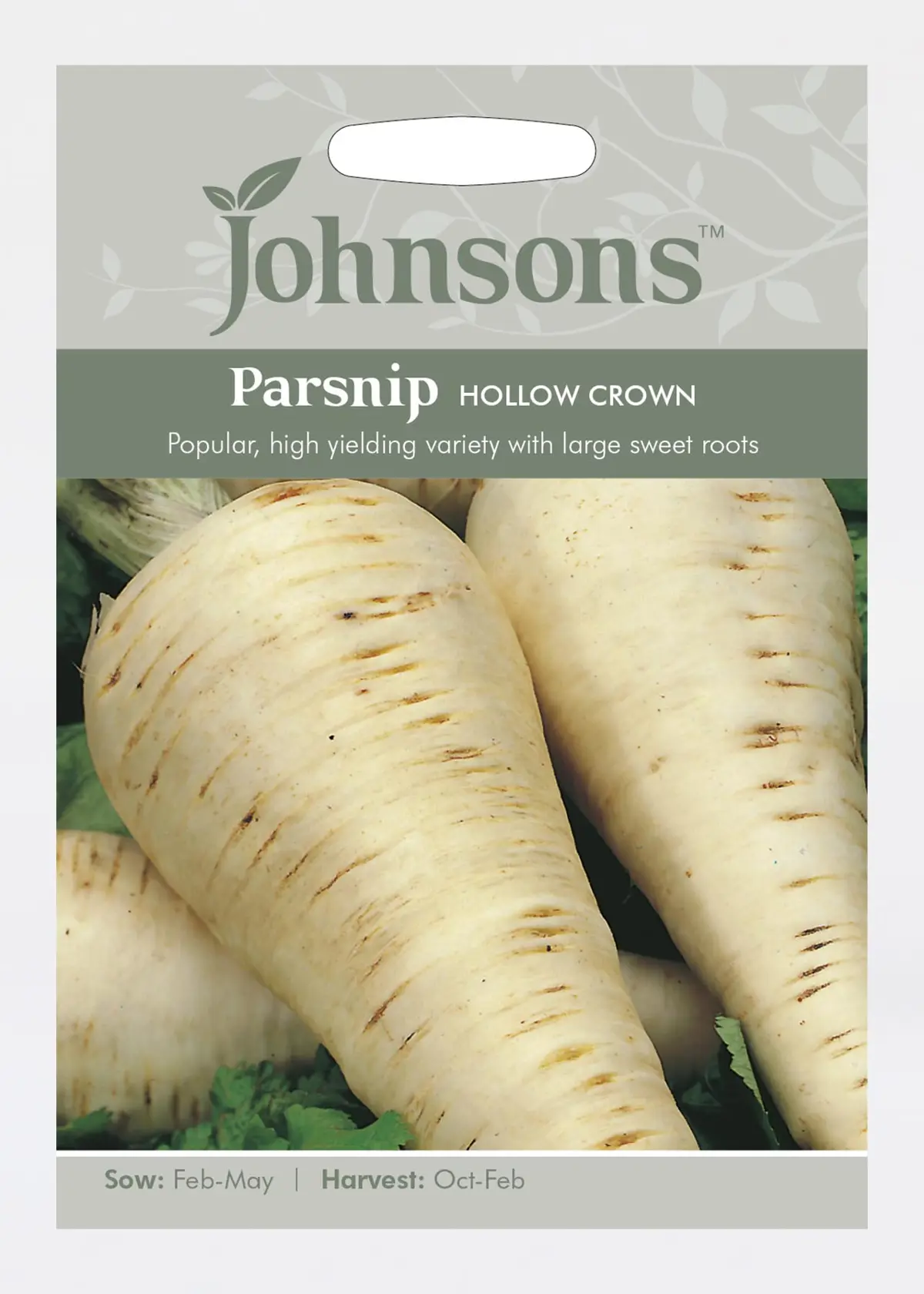 A photo of Tape Parsnip Hollow Crown Seeds