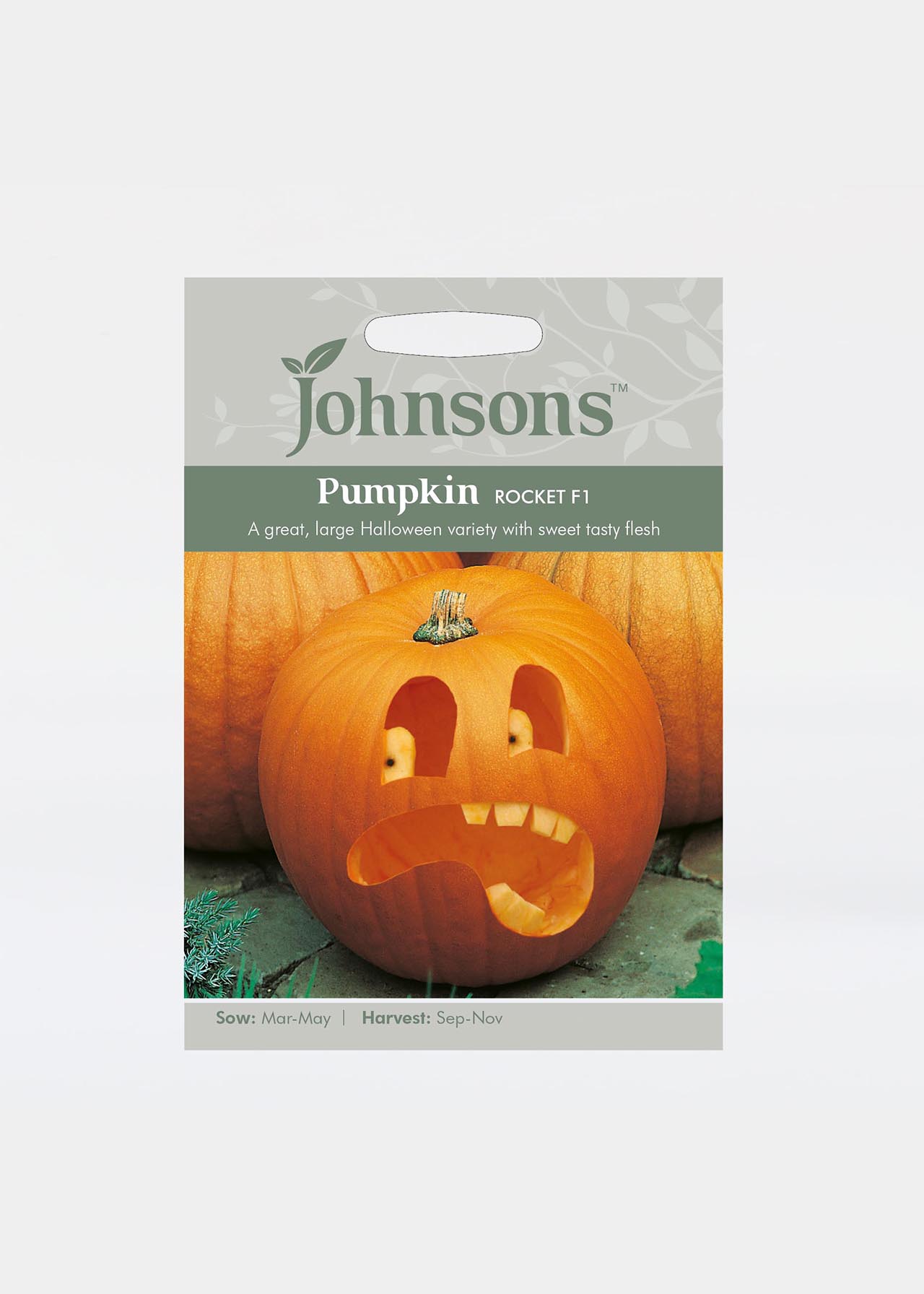 Pumpkin Rocket F1 Seeds