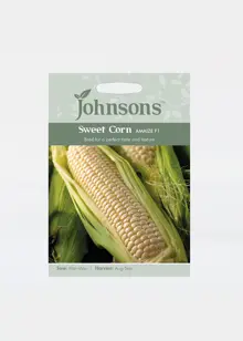 Sweet Corn Amaize F1 Seeds