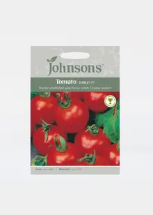 Tomato Shirley F1 Seeds