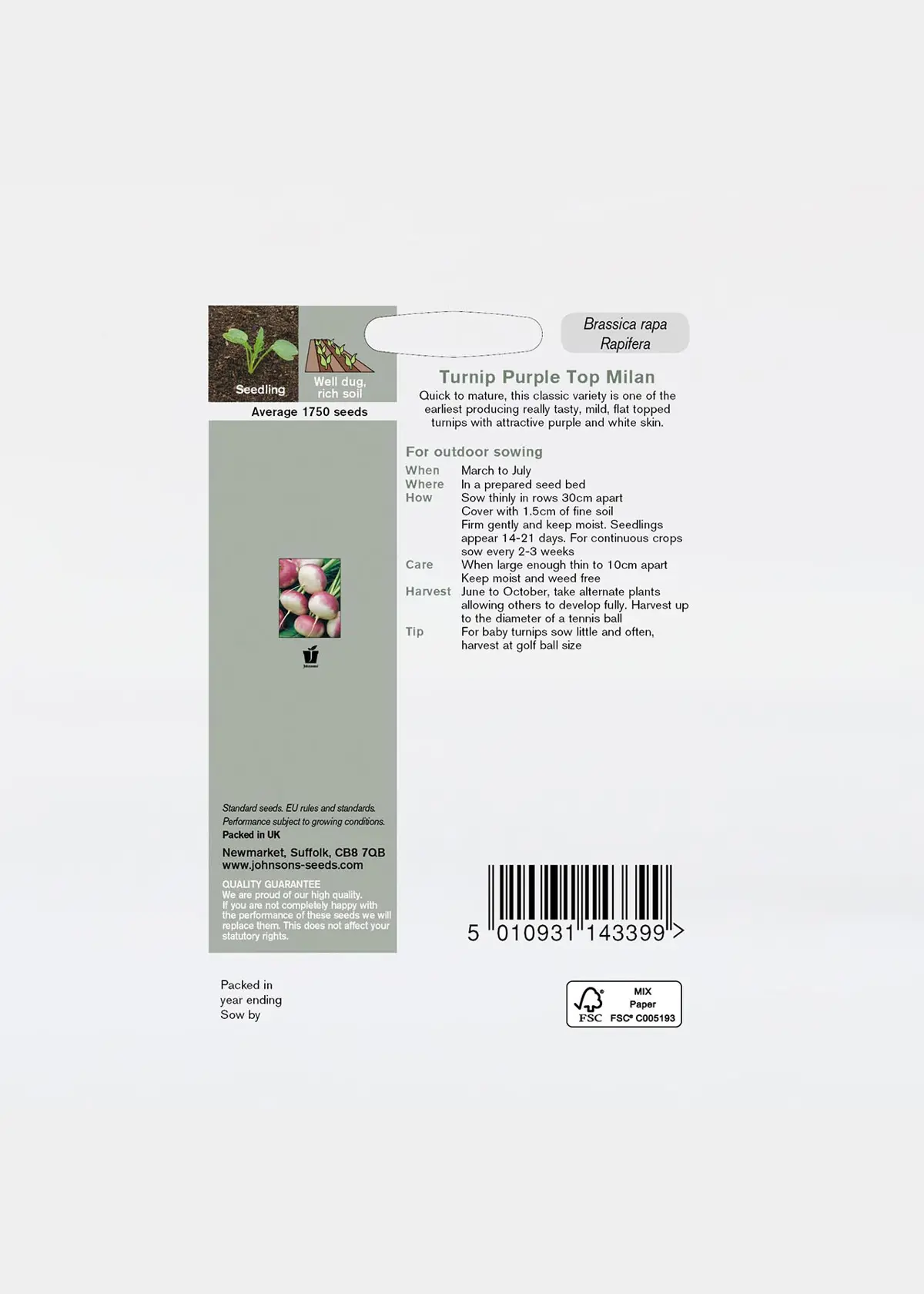 A photo of Turnip Purple Top Milan Seeds