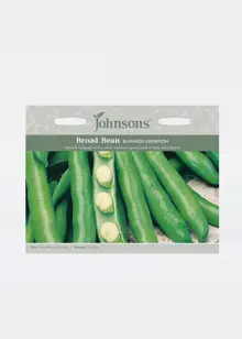 Broad Bean Bunyards Exhibition Seeds