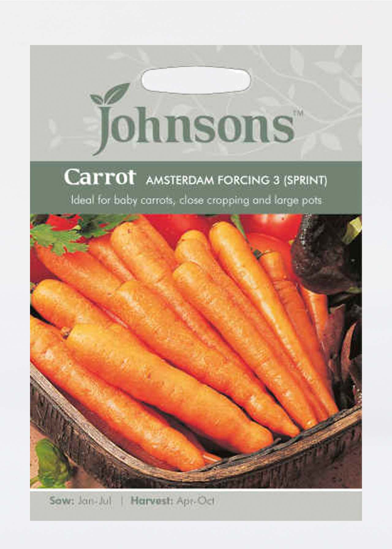 Carrot Amsterdam Forcing 3 (Sprint) Seeds