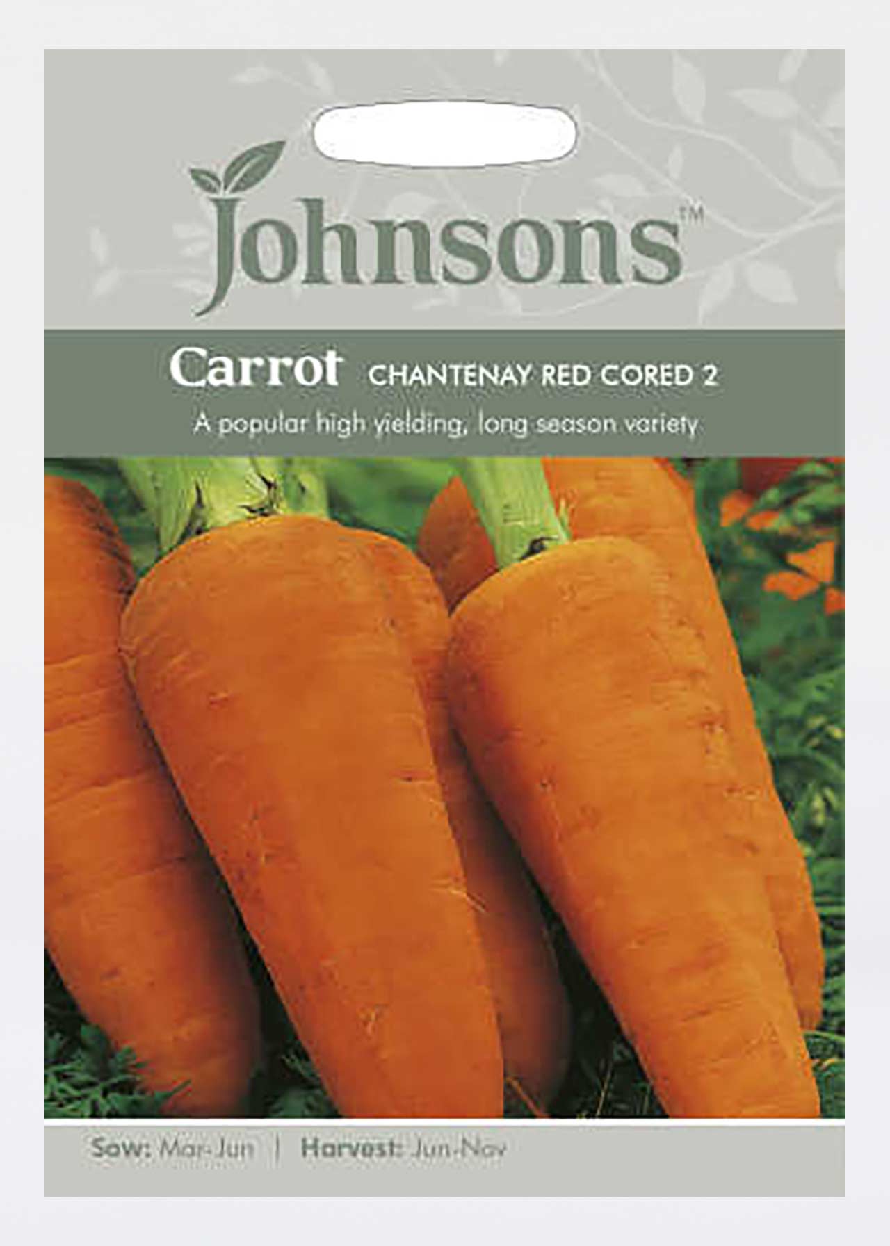 Carrot Chantenay Red Cored 2 Seeds