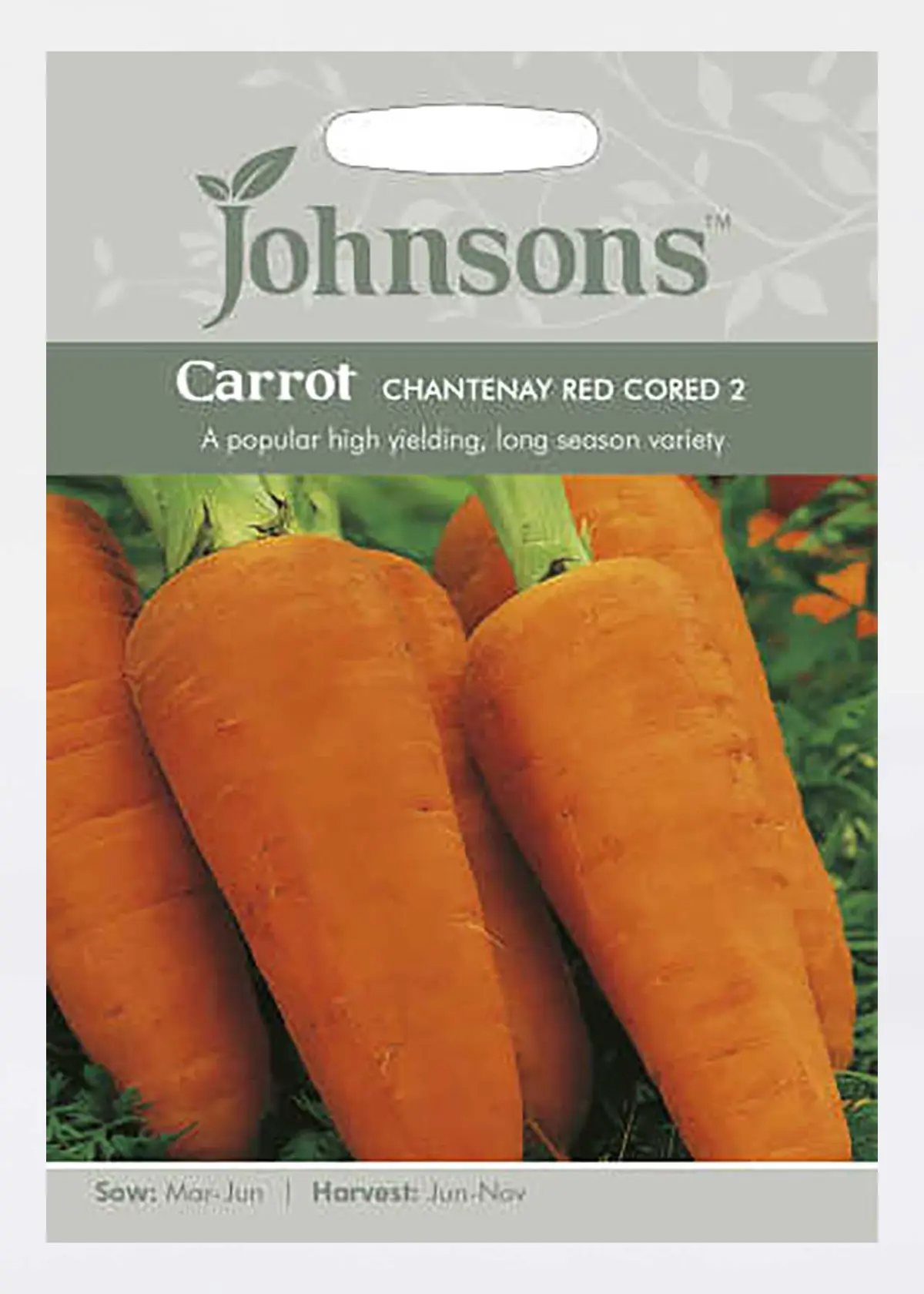 A photo of Carrot Chantenay Red Cored 2 Seeds
