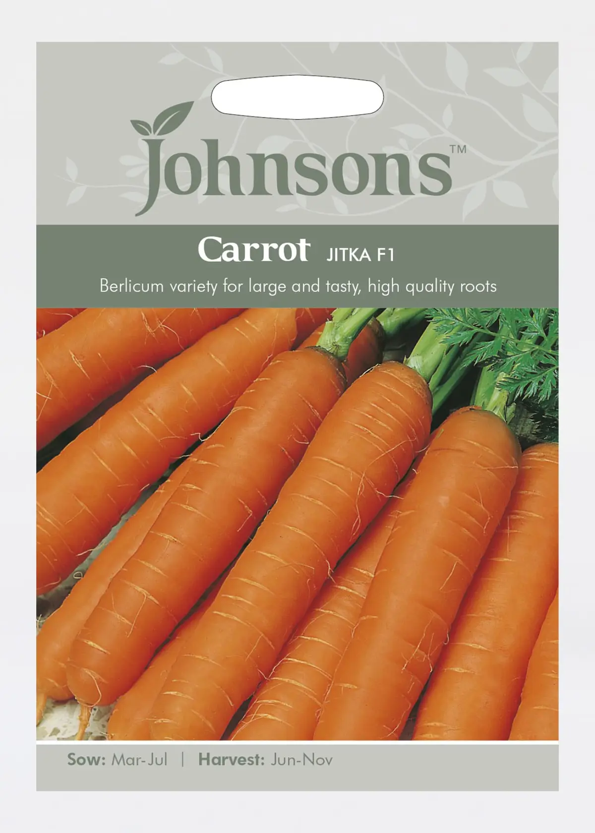 A photo of Carrot Jitka F1 Seeds