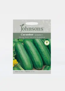 Cucumber Socrates F1 Seeds