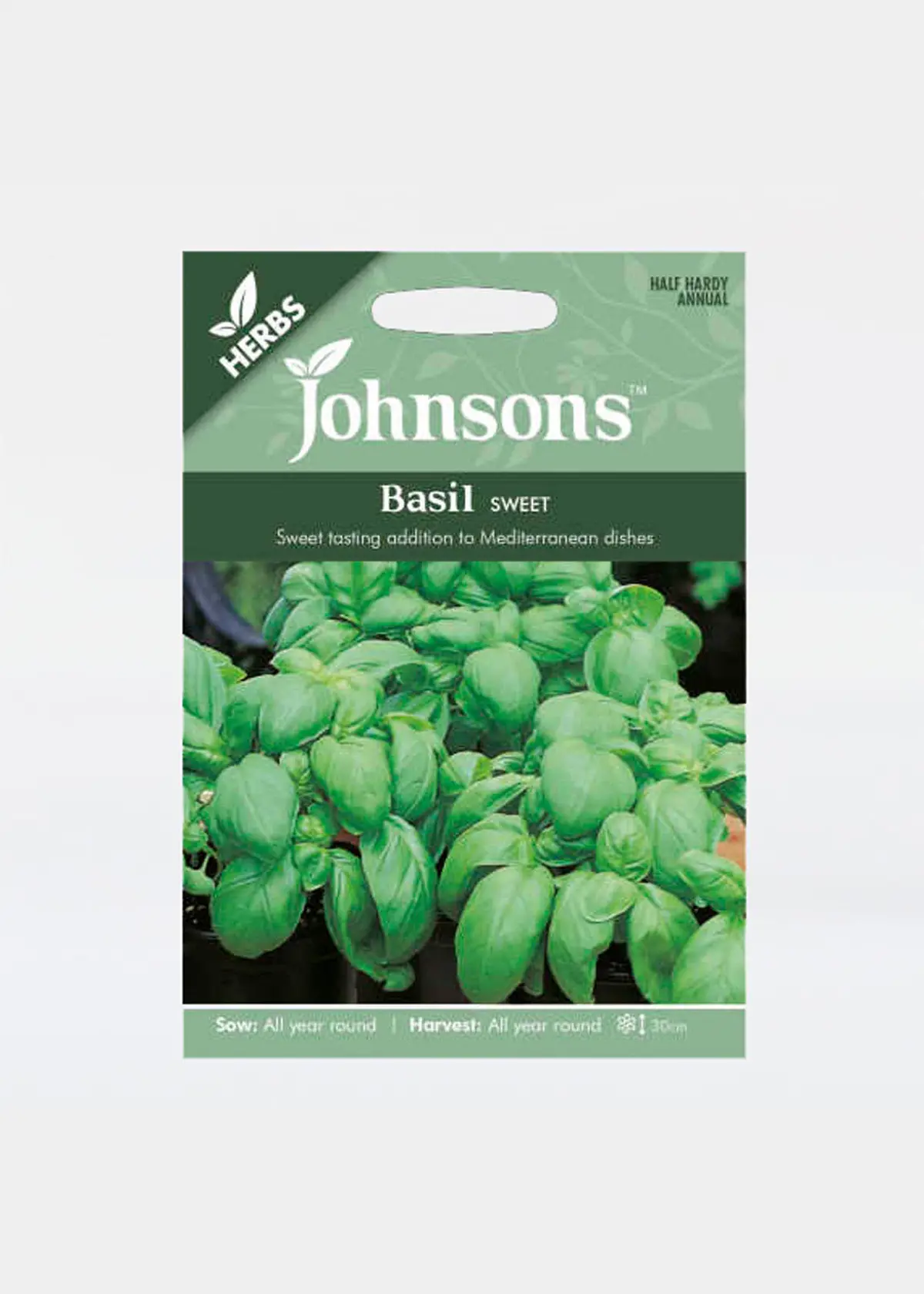 A photo of Basil Sweet Seeds
